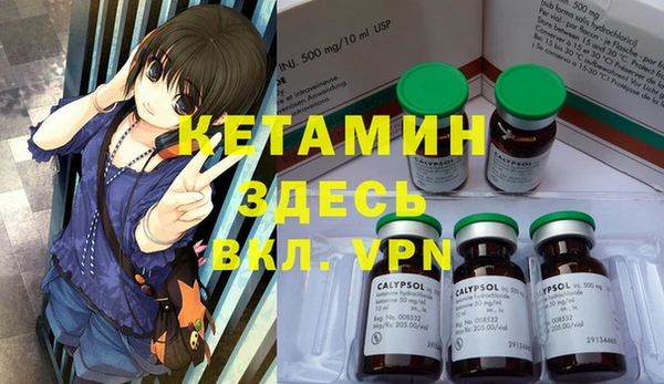 стаф Новокубанск