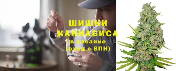 стаф Новокубанск