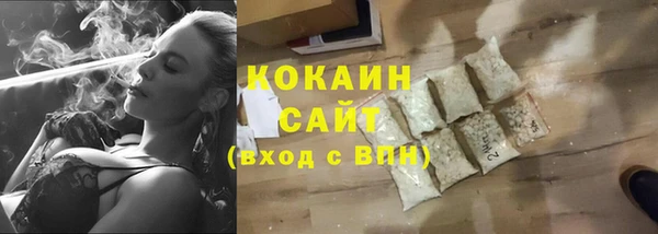 стаф Новокубанск