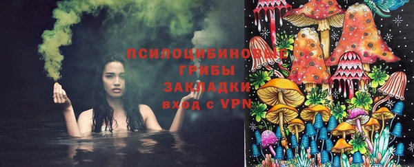 mdpv Новозыбков