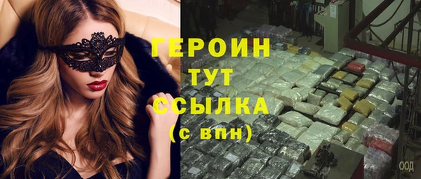 стаф Новокубанск