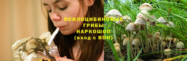 mdpv Новозыбков